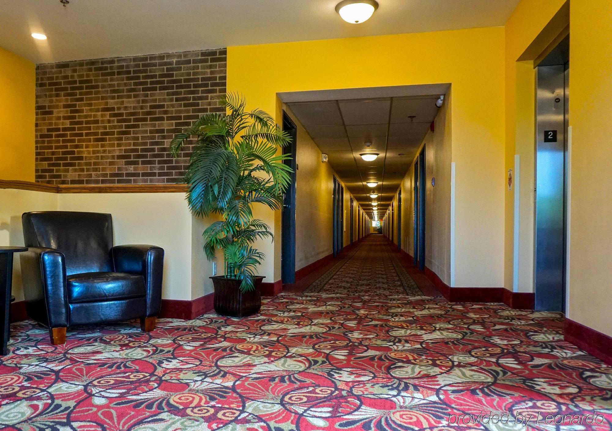 Econo Lodge Mayo Clinic Area Rochester Exterior foto